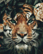 АЛМР-081 Набор алмазной мозаики на подрамнике Тигр, 40*50 см