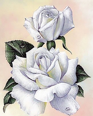 830 грн  Діамантова мозаїка КДИ-1553 Набір алмазної вишивки Біла троянда