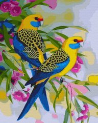 339 грн  Живопис за номерами BK-GX41301 Розмальовка для малювання по цифрам Папужки на свободі
