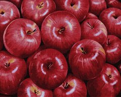 329 грн  Живопис за номерами BK-GX34602 Набір розмальовки за номерами Червоні яблука