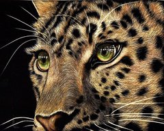 830 грн  Діамантова мозаїка КДИ-0435 Набір діамантової вишивки Погляд леопарда