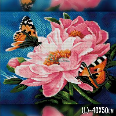 650 грн  Алмазная мозаика TWD10064 Набор алмазной вышивки Бабочки на нежных цветках