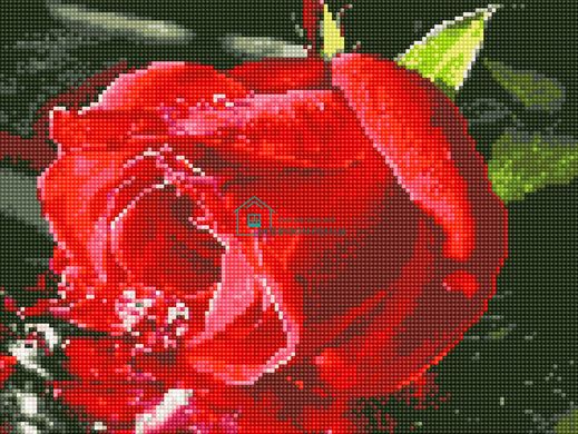 410 грн  Діамантова мозаїка EJ1216 Бутон троянди Набір діамантової вишивки на підрамнику 30х40 см