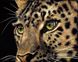 КДИ-0435 Набір діамантової вишивки Погляд леопарда