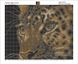КДИ-0435 Набор алмазной вышивки Взгляд леопарда
