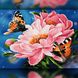 TWD10064L Набор алмазной вышивки Бабочки на нежных цветках