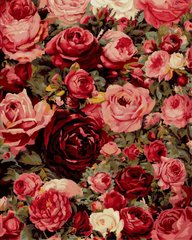 279 грн  Живопис за номерами BK-GX7524 Набір-картина по номерам Стіна з троянд