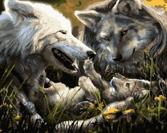 339 грн  Живопис за номерами BK-GX40069 Розмальовка для малювання по цифрам Сім'я вовків