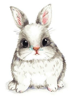 319 грн  Живопись по номерам AS0786 Набор для рисования по номерам Пушистый кролик