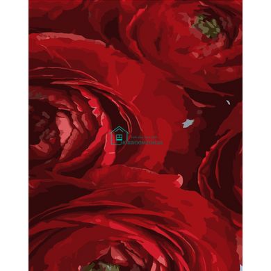315 грн  Живопис за номерами Набір для розпису по номерах Червоні квіти, 40х50 см , DY258