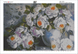 КДИ-1554 Набор алмазной вышивки Удивительная красота роз. Художник Douglas Frasquetti