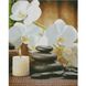 Набір для творчості алмазна картина Білі орхідеї, 40х50 см FA40899
