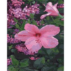 395 грн  Живопис за номерами Набір для розпису по номерах SY6421 "Рожева квітка", кольоровий холст