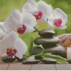 512 грн  Алмазная мозаика Набор для творчества алмазная картина Орхидеи, 30х30 см CA-0060