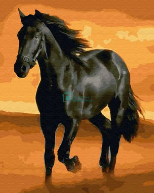 279 грн  Живопись по номерам BK-GX32937 Набор для рисования по номерам Чёрный конь