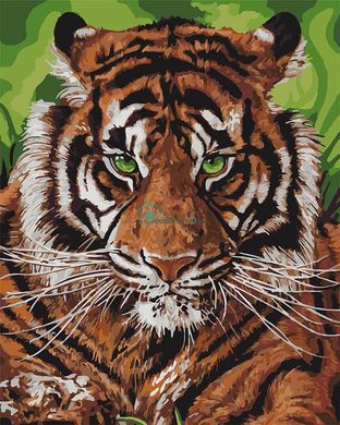 329 грн  Живопись по номерам KH4143 Картина-раскраска Непобедимый тигр