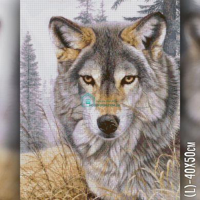 650 грн  Алмазная мозаика TWD20076 Набор алмазной вышивки Волк