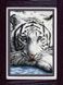30050 Набор алмазной мозаики Бенгальский тигр
