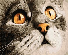 329 грн  Живопис за номерами BK-GX23782 Набір для малювання картини за номерами Взгляд кота