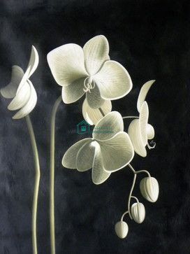770 грн  Алмазная мозаика DMP-115 Набор алмазной живописи на подрамнике Цвет орхидеи