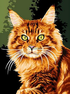 339 грн  Живопись по номерам VK176 Раскраска по номерам Норвежская кошка