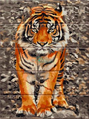435 грн  Живопись по номерам ASW059 Раскраска по номерам на деревянной основе Уссурийский тигр