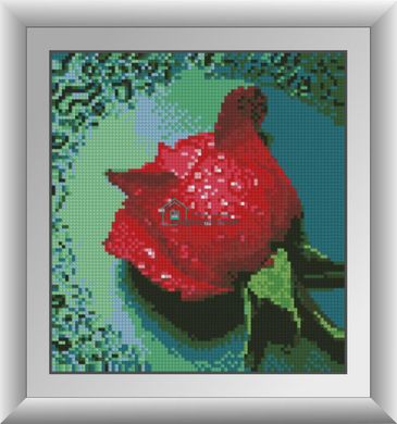 199 грн  Алмазная мозаика 30288 Набор алмазной мозаики Роса на красной розе