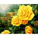 VA-0897 Набір для розпису по номерах Жовті троянди в саду, Без коробки