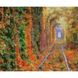 Алмазна картина HX145 Осінній тунель, розміром 30х40 см