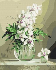 329 грн  Живопись по номерам BS21177 Набор для рисования картины по номерам Орхидеи в вазе