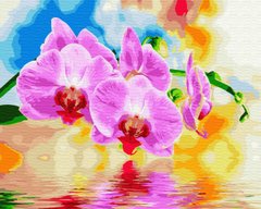 255 грн  Живопись по номерам BK-GX33255 Картина-раскраска по номерам Орхидеи над водой