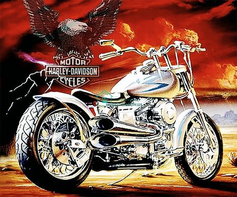 1 350 грн  Діамантова мозаїка КДИ-1225 Набір діамантової вишивки-мозаїки Harley-Davidson