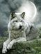 TN503 Набор алмазной мозаики на подрамнике Волк под луной