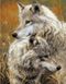 TN915 Набір алмазноі мозаїки на підрамнику Пара степових вовків