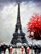 TN339 Набір алмазноі мозаїки на підрамнику Париж в квітах