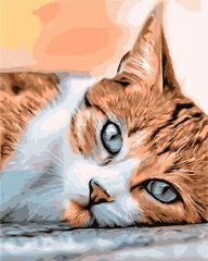 319 грн  Живопись по номерам AS1024 Набор для рисования по номерам Сонный кот
