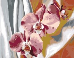 425 грн  Живопись по номерам PGX30324 Раскраска по номерам Красочные орхидеи