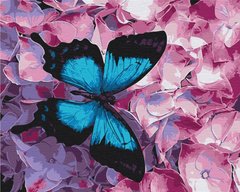 329 грн  Живопис за номерами BS21627 Набір для малювання картини за номерами Метелик в квітах