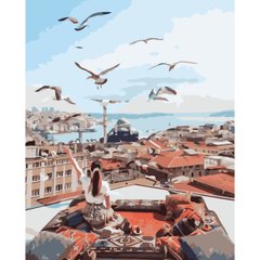 395 грн  Живопись по номерам VA-3768 Картина по номерам На крыше Стамбула