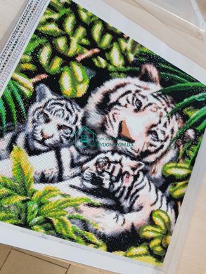 800 грн  Діамантова мозаїка DMP-283 Набір діамантового живопису на підрамнику Біла тигриця з тигрятами