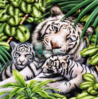 800 грн  Діамантова мозаїка DMP-283 Набір діамантового живопису на підрамнику Біла тигриця з тигрятами