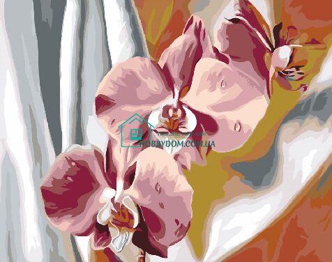 425 грн  Живопис за номерами PGX30324 Розмальовка за номерами Барвисті орхідеї