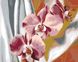 PGX30324 Раскраска по номерам Красочные орхидеи, В картонной коробке