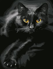 535 грн  Живопись по номерам AS0623 Картина-набор по номерам Черный кот