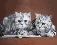 319 грн  Живопис за номерами AS1025 Набір розмальовка за номерами Сірі коти