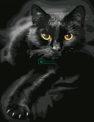 535 грн  Живопис за номерами AS0623 Картина-набір по номерам Чорний кіт