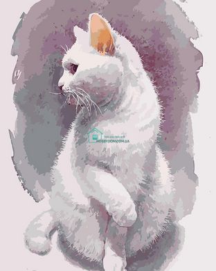 299 грн  Живопись по номерам KHO4181 Картина для рисования по номерам Хрупкий кот