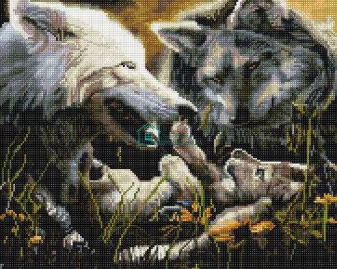 550 грн  Діамантова мозаїка GJ1844 Набір алмазної мозаїки на підрамнику Родина вовків