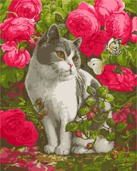 319 грн  Живопис за номерами AS1026 Набір розмальовка за номерами Кіт в трояндах