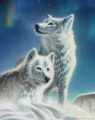 830 грн  Алмазная мозаика КДИ-0497 Набор алмазной вышивки Красивая пара волков